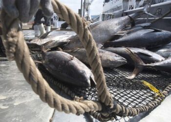 U.S. Asks WTO To Address Forced Labor On Fishing Vessels