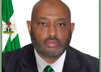 We’ll Crack Down On Fake Products’ Importers – SON