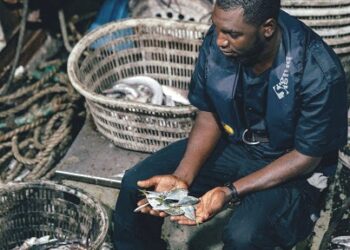 New Monitoring Center To Fight Illegal Fishing In West Africa