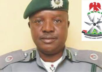 Customs Collects N799bn In 5 Months