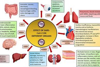 Single-cell atlases dissect tissue destruction by SARS-CoV-2