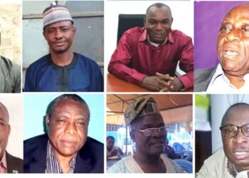 What is your assessment of Mr Hassan Bello as the CEO of Nigerian Shippers Council?