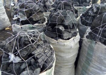 Exporters Count Loses As FG Bans Charcoal Exports