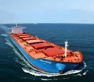 Dry bulk