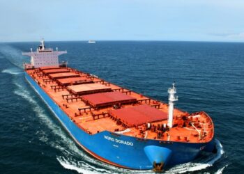 Dry Bulk Carriers Reach Record Levels of S&P So Far in 2021