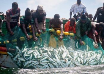 Chinese Fishermen Threatens Ghanaian Observers Over Illegal Fishery Report