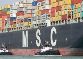 MSC Continues ‘Insatiable’ Containership Buying Spree