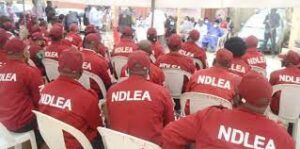 NDLEA