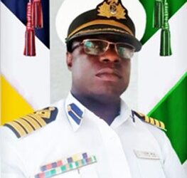 Do you think Nigerian needs a national fleet?