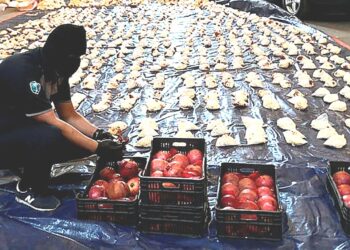 8.7 Million Captagon Pills Hidden Confiscated At Jeddah Port