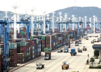 Carriers Divert Ships From Ningbo Over Uncertainty On Terminal’s Reopening