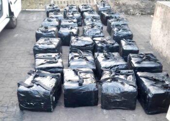 Cocaine Worth Half A Billion Rands Seized At Durban Harbour