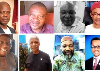 How do you think Customs officers can operate at the border posts without endangering lives?