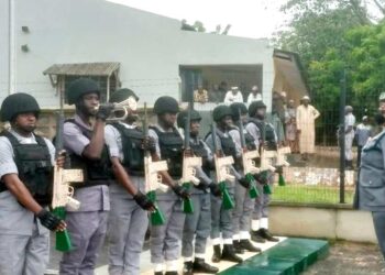 Customs To Begin Collection Of Excise Duty On Toilet Papers, Water, Carbonated Drinks, Tiles Others