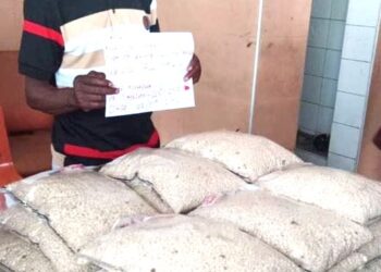 NDLEA Intercepts 24,311kg Of Heroin, Codeine At Airport, Seaports In Lagos