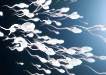 What Do You Do When You Have Lazy Or Too Few Sperm?