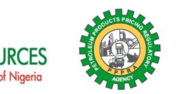 FG Scraps DPR, PPPRA, PEF, Sacks Ceos, Inaugurates New Agencies