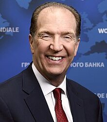 Subsidies Encourage Overuse Of Fuels – World Bank President