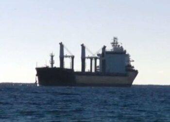 Chef Murders Captain Aboard Bulker in Indian Ocean