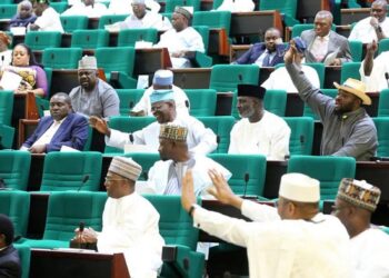 2022 Budget Defence: Reps Condemn Spill Over Of Navy Projects