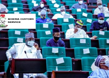 Nigeria Customs Amendment Bill Scales 2nd Reading In House Of Reps