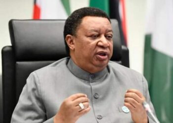 $11.8trn Investments Required Between 2021-2045 In Oil Sector – OPEC