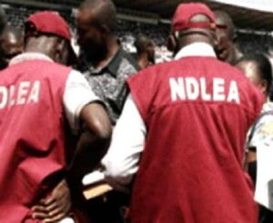 NDLEA MEN