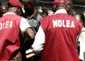 Why Lagos Ports Top List Of Drug Destinations In Nigeria – NDLEA