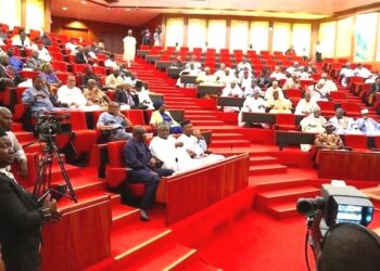 Bill For Customs To Carry Out Electronic Transactions Scales 2nd Reading In Senate