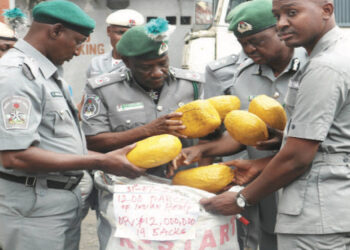 Customs Intercepts 607kg Of Indian Hemp