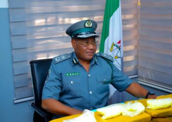 Customs Reduces Smuggling By 35 Per Cent In Kebbi- Controller