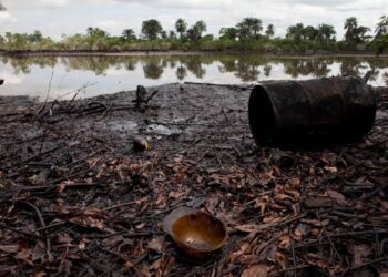 Stakeholders In Critical Meeting Over Niger Delta Pollution