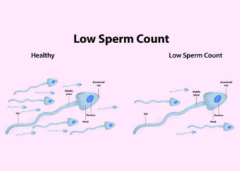 What Do You Do When You Have Lazy Or Too Few Sperm?