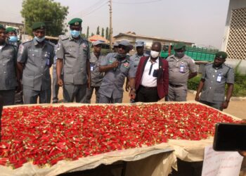 Customs Seizes 3,620 Live Ammunition Cartridges In Kwara