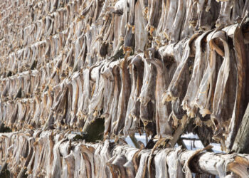Association Reiterates Call For Removal Of Stockfish From FOREX Ban