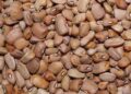 FG Wants EU Ban On Nigerian Beans Exports Lifted