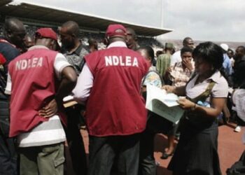 NDLEA Intercepts 40, 250kg Of Codeine Worth N2bn In Lagos Port