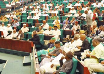 Reps Commences Investigation Into Petrol Consumption