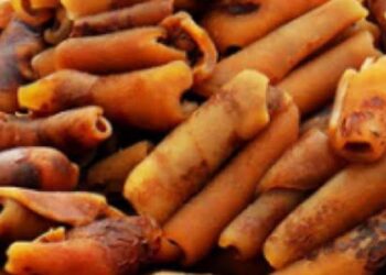 NAFDAC Impounds 120 Tons Of Imported Chemical-Laden ‘Ponmo