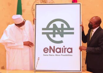 Five Months After e-Naira Launch, Maritime Stakeholders Say They Are Ignorant Of Its Usefulness