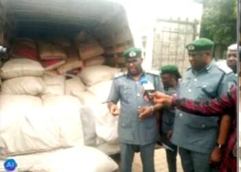 Customs Seizes Truck-Load Of Donkey Meat, Cannabis Worth Millions In Kaduna