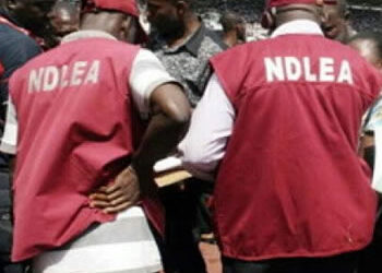 DRUG BUST: NDLEA Wants Seaport Terminal Operators To Reexamine Customers