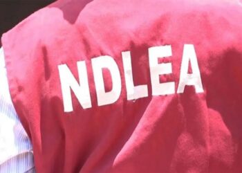 NDLEA Intercepts 1.9m Tablets Of Tramadol, Codeine At Lagos Airport
