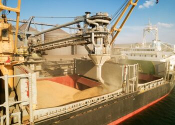 Ukraine Could Lose $6 Billion in Grain Exports with Ports Blocked