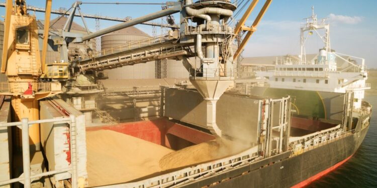 Ukraine Could Lose $6 Billion in Grain Exports with Ports Blocked