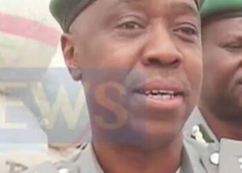 Customs Seizes Smuggled Goods Worth N119m In 3 Months In Adamawa – Comptroller