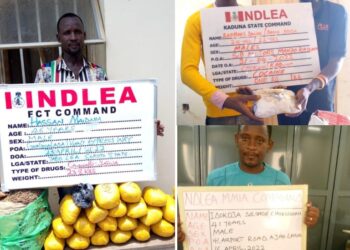 NDLEA Seizes Cocaine In Teabags, Arrests 4 Traffickers