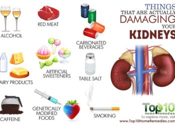 Some Things That Are Actually Damaging The Kidneys