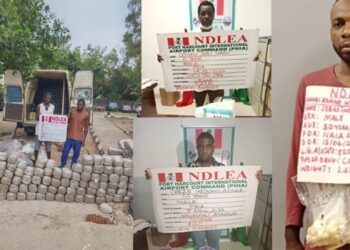 NDLEA Intercepts Cocaine In 3 Airports, Arrests 7 Traffickers