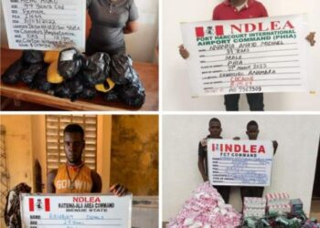 NDLEA Records Cocaine Seizure At Port Harcourt Arrests 7 Suspects In Kano
